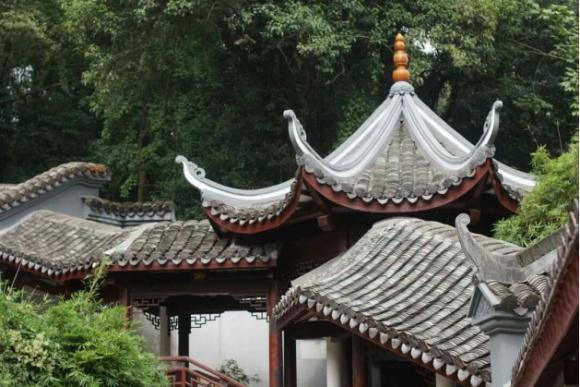 1724741329103474.jpg 1724740958081.jpg